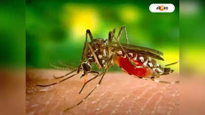 Malaria : ম্যালেরিয়া বাড়ছে গত বছরের দ্বিগুণ গতিতে