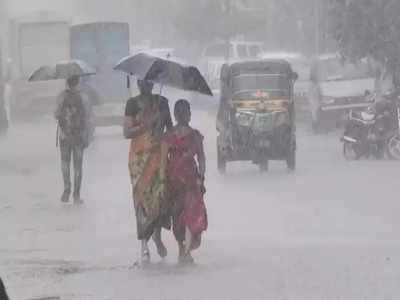 Maharashtra Rain : महाराष्ट्रात सर्वत्र बरसला पाऊस, कोकणात ऑरेंज तर विदर्भासह मराठवाड्यात यलो अलर्ट