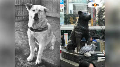 World Famous Dog: মালিকের অপেক্ষায় ১০ বছর পার! প্রভুভক্ত হাচিকোর শতবর্ষ পালন জাপানে