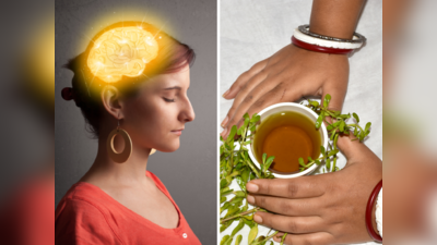 Herbal Brain Tonic: दिमाग को चुपचाप सिकोड़ रहे हैं 3 काम, लगातार कर रहे हैं ना आप 6 उपाय?