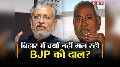 Bihar Politics: महाराष्ट्र में पवार की पार्टी टूटी, नीतीश की JDU पर BJP की नजर, सदन का गुणा-गणित जान लीजिए