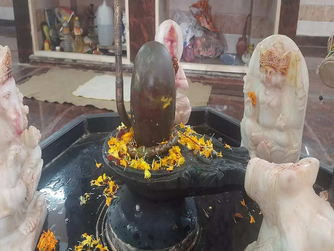 भगवान शिव का दूध से अभिषेक करें