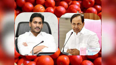 AP Tomato Subsidy: జనం మనసు గెలిచిన జగన్.. చేతులెత్తేసిన కేసీఆర్ సర్కారు..! 