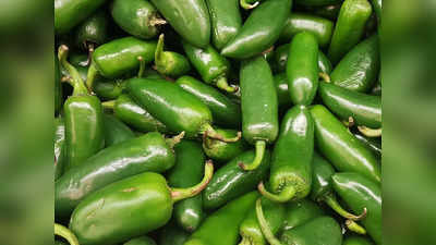Green Chilli Price: আগামীকাল থেকেই সস্তা হবে কাঁচা লঙ্কা! কোন ম্যাজিকে কমবে দাম?