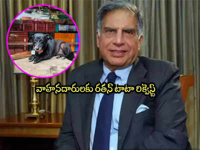 Ratan Tata: రతన్ టాటా ఎమోషనల్ పోస్ట్.. అలా అస్సలు చేయొద్దంటూ రిక్వెస్ట్!