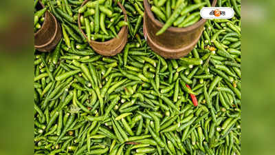 Green Chili Price : আনাজপাতি দামিই, এল ১৫ লরি লঙ্কা