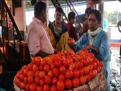 Tomato Rate Today: टोमॅटोच्या दराचं दीडशतक पार, बाजारात ही स्थिती किती दिवस राहणार, कृषी आयुक्तांनी दिली अपडेट
