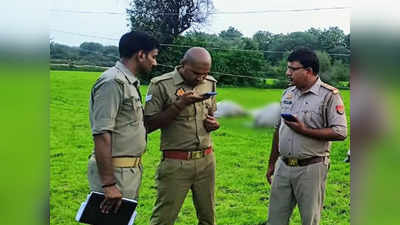Hamirpur: खेत में लटकते हाईटेंशन तार में उतरा करंट, 9 गोवंश की तड़पकर मौत, मचा बवाल