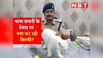 Dewas News: बिजनेसमैन की बिल्ली गायब हुई तो बच्चों ने छोड़ दिया खाना-पीना, पुलिस ने तीन घंटे में ढूंढ निकाला