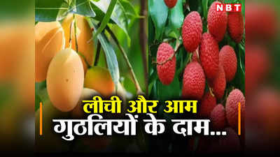 Bihar: अपनी जमीन पर आम, लीची और आंवला के पौधे लगाने जा रहे हैं! बिहार सरकार दे रही नगद अनुदान, पढ़ लीजिए ये खबर