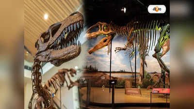 Dinosaurs Extinction Reason : বুদ্ধির জোরে বেঁচে যায় মানুষ, এই কারণেই পৃথিবী থেকে হারিয়ে যায় ডাইনোরা