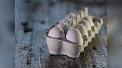Foods Replace Eggs: గుడ్డు అంటే అలర్జీనా..? ఇవి తింటే గుడ్డులోని పోషకాలు అందుతాయి..!