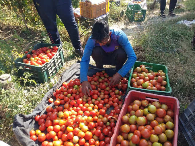 किसान का रोरोकर बुरा हाल