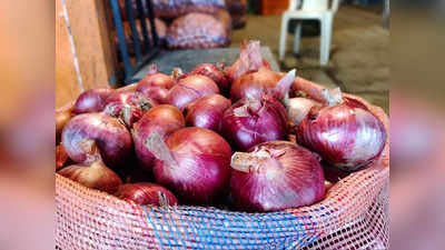 Onion Rate: गुड न्यूज, राज्यातील सर्वात मोठ्या बाजार समितीतून मोठी अपडेट, कांदा दराचं चित्र बदललं, काय घडलं