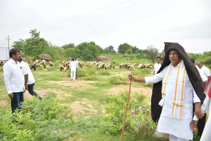 తలపై గొంగడితో గొర్రెలు కాసిన మంత్రి మల్లారెడ్డి