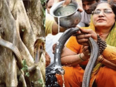 Nag Panchami Ki Katha: सावन पंचमी तिथि को इसलिए होती है नाग देवता की पूजा