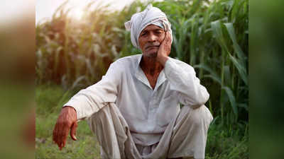 हमीरपुर न्यूज: खरीफ की फसल को लेकर किसानों में छाई चिंता की लहर, जानिए क्या है अन्नदाता की मुख्य परेशानी?