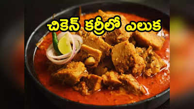 Chicken Curry: చికెన్ కర్రీ ఆర్డర్ చేస్తే ఎలుక వచ్చింది.. ఇదేం నాన్ వెజ్‌రా బాబు?