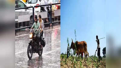 Maharashtra Rain: मुंबई-पुण्यात पाऊस, कोकणाला रेड अलर्ट, तर काही भाग अजूनही कोरडेच, पाहा ताजे अपडेट्स