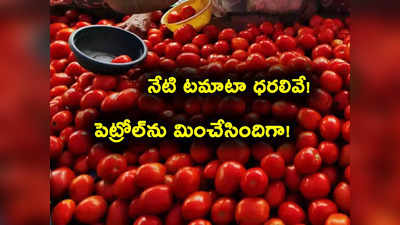 Tomato Prices: పెట్రోల్‌ను మించిన టమాటా.. ఏ నగరంలో ధరలెలా ఉన్నాయి? అన్నింటికంటే ఎక్కువ అక్కడే? 