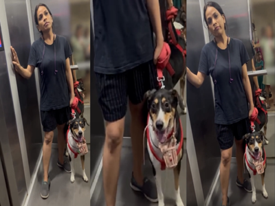 कुत्ते को लिफ्ट में ले जाने को लेकर नोएडा की सोसाइटी में घमासान, हैरान करने वाला वीडियो आपने देखा क्या