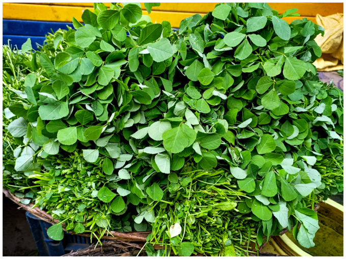 ಮೆಂತೆಸೊಪ್ಪು