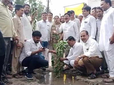 Burhanpur News Today Live: जर्जर सड़क के खिलाफ कांग्रेस का अनोखा प्रदर्शन, गड्ढों में लगाए बेशर्म के पौधे