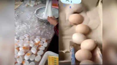 Fake Eggs: क्या नकली अंडा ऐसे बनाया जाता है? वीडियो देख हर कोई हैरान, जानें क्या है सच्चाई