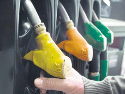 Petrol Diesel Price : ഇന്ത്യയിലുടനീളം ഇ20 ഇന്ധന ഔട്ട്ലെറ്റുകൾ തുറക്കും; ഹർദീപ് സം​ഗ് പുരി