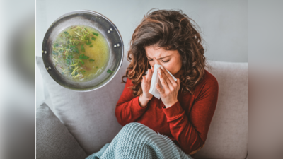 Monsoon Health Tips: जुकाम, खांसी-बुखार, मानसून की हर बीमारी का रामबाण इलाज हैं Ayurveda डॉ. के 5 देसी नुस्खे