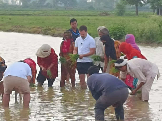 Rahul Gandhi: రైతుగా మారిన రాహుల్ గాంధీ.. ట్రాక్టర్‌తో దున్ని, నాట్లు వేసి..