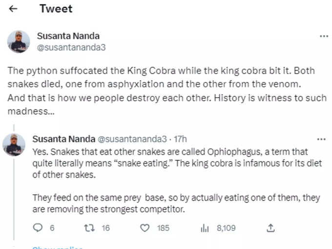 किंग कोबरा दूसरे सांपों को खाने के लिए कुख्यात