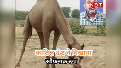 राजस्थान: कातिल ऊंट ने दिखाया खौफनाक रूप, मालिक का सिर को जबड़े में दबोच कर दिया अलग!
