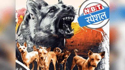 Mumbai News: महाराष्ट्र में हर घंटे 90 लोगों को काट रहे हैं कुत्ते, मुंबई और ठाणे के आंकड़े डराने वाले