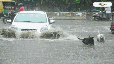 Delhi Rain : ২০ বছরের রেকর্ড ভেঙে ঝমঝমিয়ে বৃষ্টি, দিল্লিতে বন্যা! কাশ্মীরে হড়পা বানে ভেসে গেলেন ২ জওয়ান
