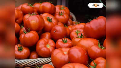 Tomato 1KG Price : সত্যি এত সস্তা! ২০ টাকায় ১ কেজি টমেটো, কোথায়?