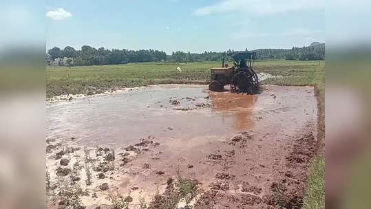 தேனி அருகே முதல் போக நெல் சாகுபடிக்கான பணிகள் தீவிரம்!