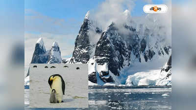 Antarctica : নিজের চোখে পেঙ্গুইন দেখতে চান? কী ভাবে পৌঁছবেন অ্যান্টার্কটিকায়?