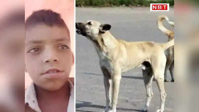 Rajasthan News: बूंदी में तीन आवारा कुत्तों ने 12 साल के बच्चे को मार डाला, चीखता-चिल्लाता रहा लहूलुहान मासूम