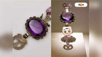 Purple Sapphire: মন্দিরে চুরি করে ব্রিটেন পাড়ি, পরিবারে নেমে এল নীলার অভিশাপ! তারপর...
