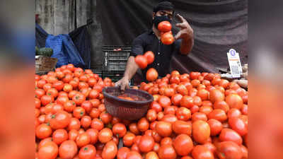 Tomatoes price hike: तमिलनाडु के इस शहर में 20 रुपये किलो के भाव से बिके टमाटर, ग्राहकों में मच गई लूट