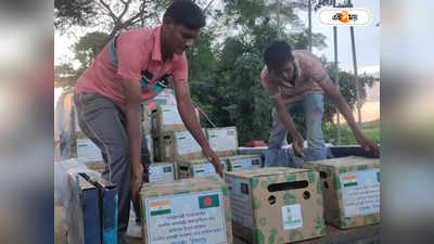 Tripura Gift Pineapple To Bangladesh : আম পাঠিয়েছিল বাংলাদেশ, উপহার হিসাবে আনারস পাঠালেন ত্রিপুরার মুখ্যমন্ত্রী
