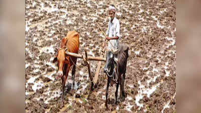 Maharashtra Weather: शेतकऱ्यांसाठी महत्त्वाची बातमी; खरिपाच्या पेरण्या खोळंबल्या; हवामान विभाग म्हणतं...