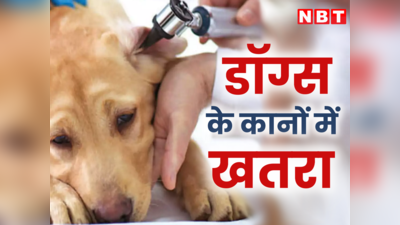 दिल्ली में कुत्ते के कान में छिपा था सुपरबग, जानें इंसानों के लिए कितना खतरनाक