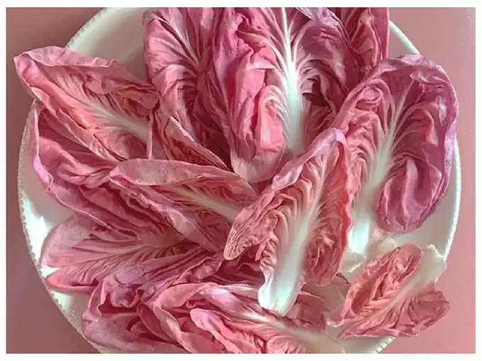 ​పింక్  లెట్యూస్ (Pink Lettuce)