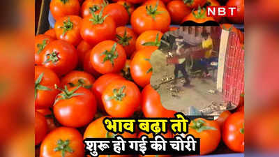 Rajasthan Tomatoes Stolen: भाव बढ़ा तो शुरू हो गई की चोरी, जयपुर की सबसे बड़ी मंडी से 30 हजार रुपये के टमाटर ले भागे चोर