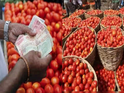 Tomato Price Hike Reason: एक किलो टॉमेटो १६० रुपयांना! टॉमेटोचा भाव इतका कसा वाढला?