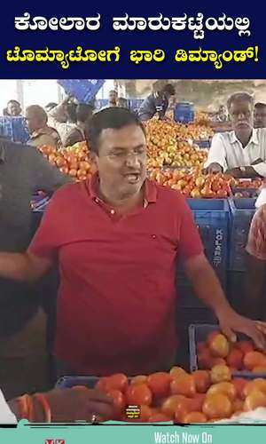 there is a huge demand for tomatoes in the apmc market of kolar district
