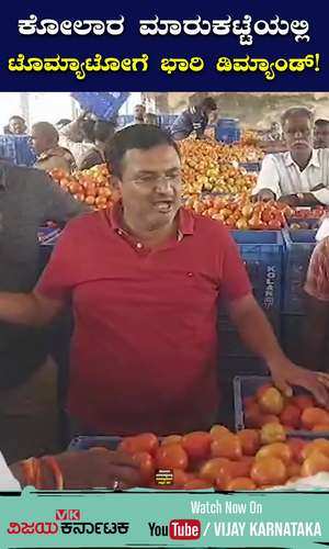 vijaykarnataka/cities/kolar/there-is-a-huge-demand-for-tomatoes-in-the-apmc-market-of-kolar-district