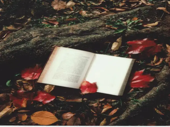 मलमास में करें किताबों का दान